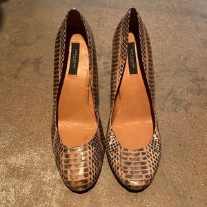 Snake print Ann Taylor pumps
